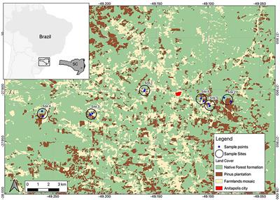 Ecological indication metrics on dung beetles metacommunities in native forests and Pinus monocultures